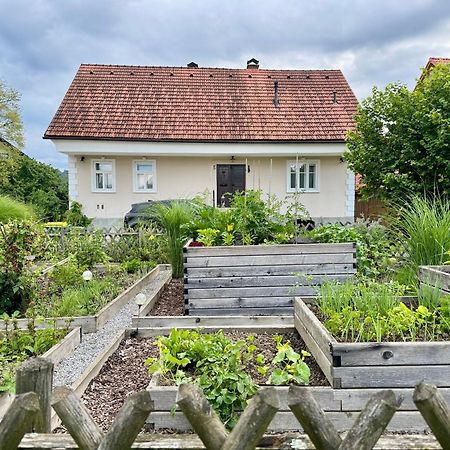 Homestead At Stefka'S Mokronog エクステリア 写真